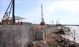 Thừa Thiên - Huế tăng tốc xây dựng cảng cá, khu neo đậu tàu thuyền
