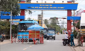 Giữ vững 'vùng xanh' để sản xuất ở Gò Công Tây