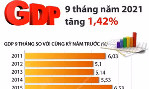 GDP 9 tháng năm 2021 tăng 1,42%