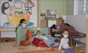 Bão số 5: Đà Nẵng di dời người dân ra khỏi vùng nguy hiểm