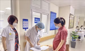 Các mức hưởng chế độ thai sản trong năm nay như thế nào?