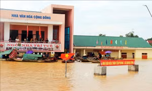 Hà Tĩnh tập trung hỗ trợ nhu yếu phẩm cho người dân vùng lũ lụt