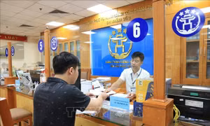 Cắt giảm hơn 3.400 thủ tục hành chính, điều kiện kinh doanh