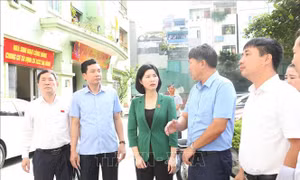 Giám sát quản lý, sử dụng nhà, đất tại quận Thanh Xuân, Hà Nội