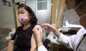 Lo ngại bùng phát dịch cúm mùa nghiêm trọng sau COVID-19