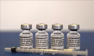 Mỹ sẽ chủ động đánh giá hiệu quả vaccine đặc hiệu chống BA.4 và BA.5