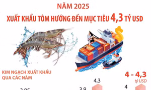 Năm 2025, xuất khẩu tôm hướng đến mục tiêu 4,3 tỷ USD