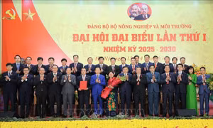 Bộ NN&MT dẫn dắt các lĩnh vực kinh tế khác theo hướng kinh tế nông nghiệp sinh thái