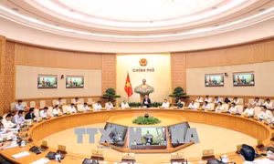 Chính phủ không vì bệnh thành tích mà bỏ qua vi phạm trong thi cử