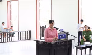 Lĩnh án 14 năm tù vì đầu độc chồng bằng món khổ qua nhồi lá ngón 