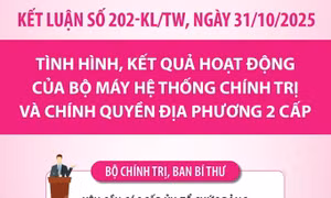 Kết luận số 202-KL/TW: Nhiệm vụ của các cấp ủy, tổ chức Đảng