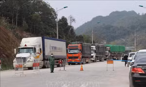 Trên 100 xe nông sản thông quan những ngày đầu năm