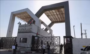 Xung đột Israel - Hamas: Thêm 2 con tin người Israel được trả tự do