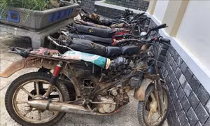 Triệu tập 8 đối tượng liên quan vụ cưa hạ cây cổ thụ tại Khu Bảo tồn Kon Chư Răng