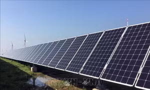 Cơ chế khuyến khích phát triển điện mặt trời tại Việt Nam