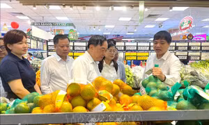 Siết chặt kiểm soát chất lượng nông sản - thực phẩm dịp Tết