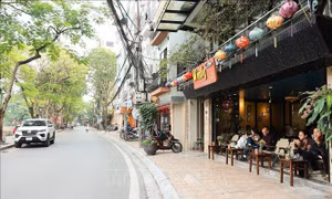 Triển khai tốt các mô hình, giải pháp căn cơ để tháo gỡ điểm nghẽn về trật tự đô thị