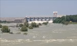 Đỉnh triều sông Đồng Nai vượt báo động III, Thủy điện Trị An ngưng xả tràn