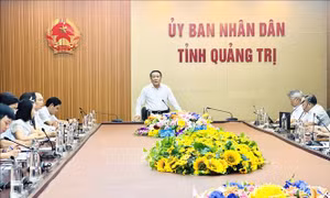 Chấm dứt chủ trương đầu tư 5 dự án điện gió chậm tiến độ