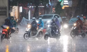 Hà Nội đón 'cơn mưa vàng' giải nhiệt