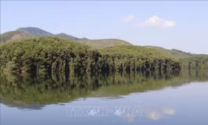 Lễ phát động Tuần lễ Biển và Hải đảo Việt Nam, Tháng Hành động vì môi trường sẽ được tổ chức tại Bạc Liêu