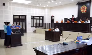 Sở TN&MT Đà Nẵng làm gì sau vụ nhân viên tự ý 'cho mượn' sổ đỏ của người dân
