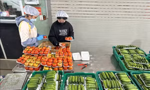 Lâm Đồng: Nguồn cung, giá rau củ dần ổn định sau mưa lũ