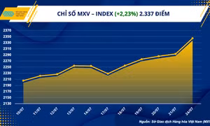 Chỉ số hàng hóa MXV-Index nối dài chuỗi tăng 
