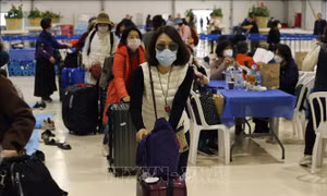 Hãng hàng không Israel thử nghiệm quy trình kiểm tra COVID-19 mới