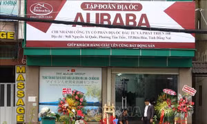 Vụ án chiếm đoạt tài sản tại Công ty Alibaba: Viện Kiểm sát trả hồ sơ để điều tra bổ sung