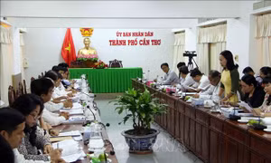 Một số vùng nội ô Cần Thơ sẽ không được nuôi chim yến