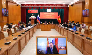 Hội nghị trực tuyến Thành phố Hồ Chí Minh - thành phố Saint Petersburg