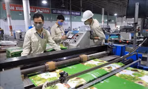 Số doanh nghiệp thành lập mới trong tháng 5 tăng hơn 36%