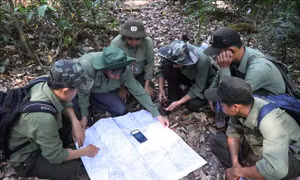 Áp lực giữ rừng ở Tây Nguyên - Bài 1: Những chuyển biến tích cực sau lệnh 'đóng cửa rừng' của Thủ tướng