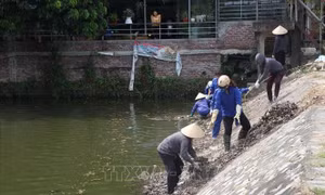 Phối hợp xử lý các vi phạm hành lang công trình thủy lợi