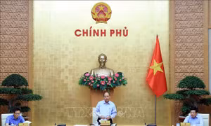 Thủ tướng chủ trì họp Thường trực Chính phủ về phát triển các vùng kinh tế trọng điểm