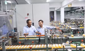 Hiệu quả lớn từ cải tiến công nghệ