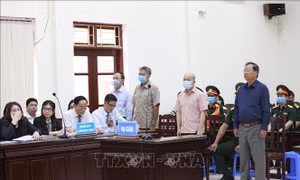 Xét xử sơ thẩm vụ án Đinh Ngọc Hệ và đồng phạm