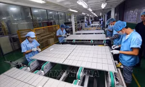 Cách mạng 4.0 với phát triển bền vững ở Việt Nam