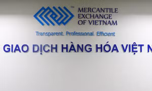 Điều kiện, thủ tục thành lập Sở giao dịch hàng hóa