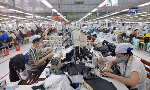 Tìm 'động lực sinh tồn' giữa biến động địa chính trị toàn cầu