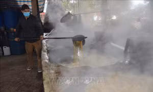 Thủ phủ mật mía nổi tiếng xứ Thanh đỏ lửa ngày giáp Tết