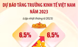 Dự báo lạc quan về tăng trưởng kinh tế Việt Nam 2023