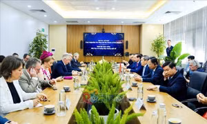 Nhà Vua Vương quốc Bỉ thăm và làm việc tại Quảng Ninh