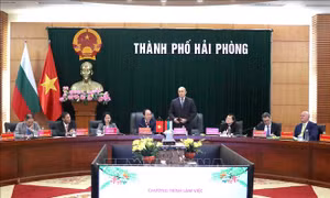 Tổng thống Bulgaria thăm thành phố Hải Phòng