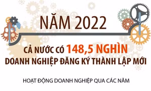 Năm 2022, cả nước có 148,5 nghìn doanh nghiệp đăng ký thành lập mới