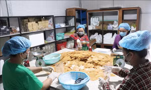 Phê duyệt Chương trình tổng thể về phát triển kinh tế tập thể giai đoạn 2026 - 2030