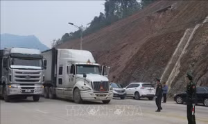Hải quan khơi thông xuất nhập khẩu trong bối cảnh sụt giảm nguồn thu