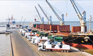 Doanh nghiệp đầu tiên của Việt Nam được vinh danh cảng xanh thông minh châu Á - Thái Bình Dương
