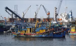 Tinh giản đội tàu, chuyển đổi nghề cá để gỡ 'thẻ vàng' IUU
